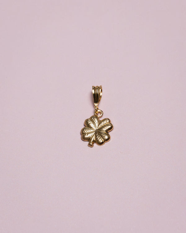 Gold Lucky Necklace Charm